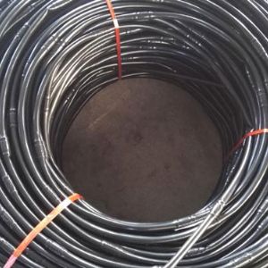 內(nèi)鑲式滴灌管